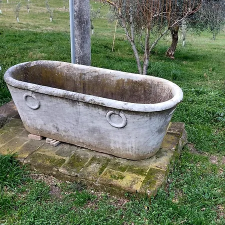 Turistico Carboni Primo Piano *